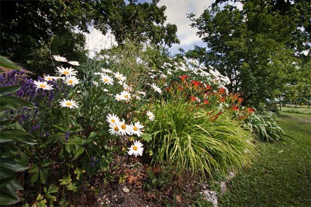La Belle Saison Bed & Breakfast Mollens  Dış mekan fotoğraf